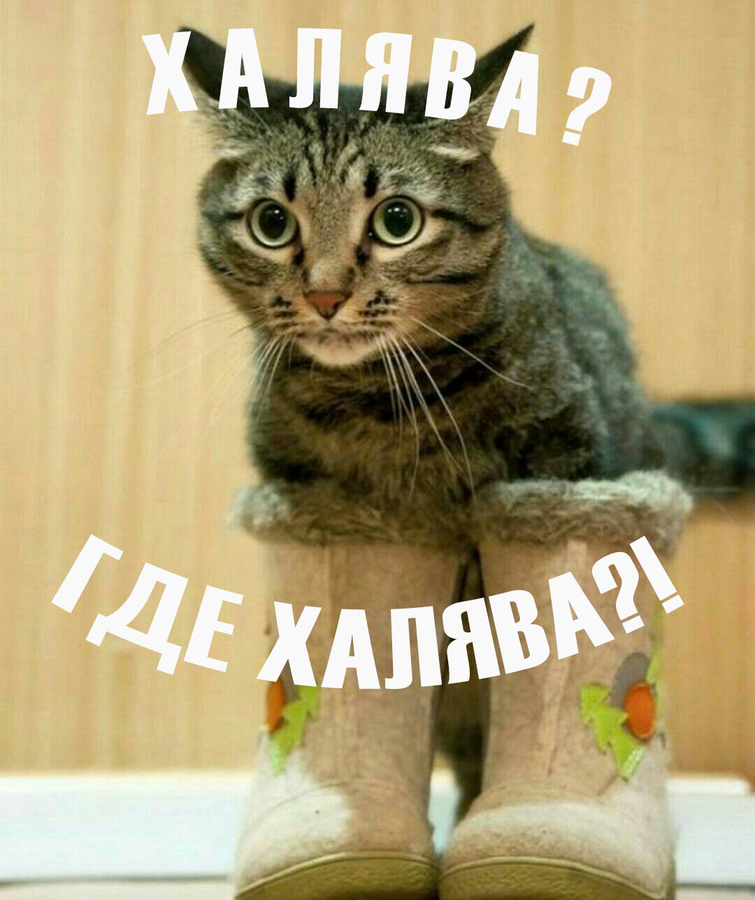 Халява – откуда произошло слово2